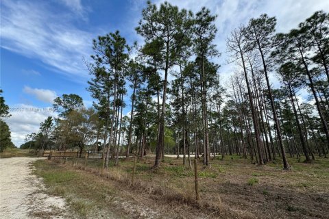 Land in Clewiston, Florida № 1860465 - photo 29