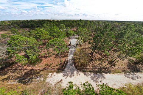 Land in Clewiston, Florida № 1860465 - photo 3