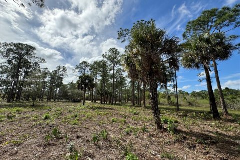 Land in Clewiston, Florida № 1860465 - photo 25