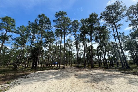 Land in Clewiston, Florida № 1860465 - photo 14