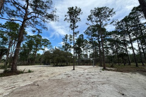 Land in Clewiston, Florida № 1860465 - photo 19