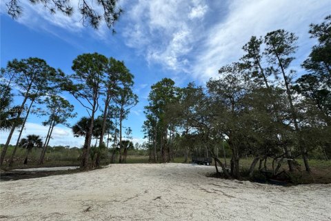 Land in Clewiston, Florida № 1860465 - photo 18