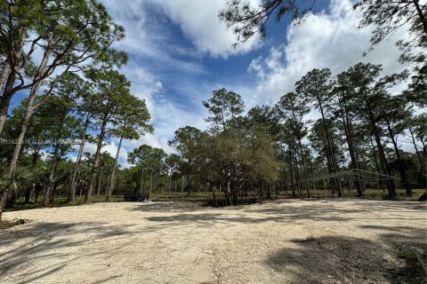 Land in Clewiston, Florida № 1860465 - photo 17