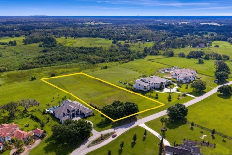 Terreno en venta en Thonotosassa, Florida № 1911968 - foto 28