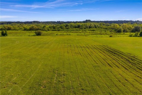 Terreno en venta en Thonotosassa, Florida № 1911968 - foto 8