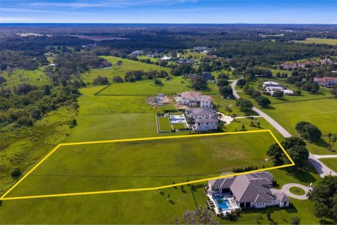 Terreno en venta en Thonotosassa, Florida № 1911968 - foto 20