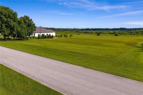 Terreno en venta en Thonotosassa, Florida № 1911968 - foto 3