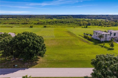 Terreno en venta en Thonotosassa, Florida № 1911968 - foto 15