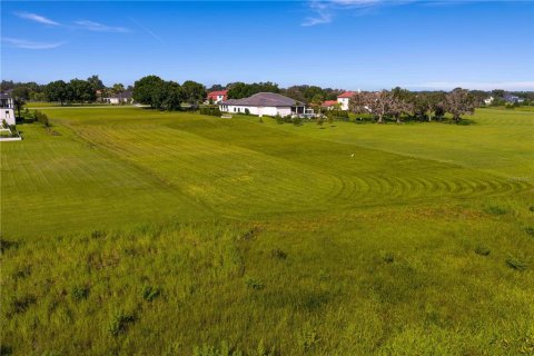 Terreno en venta en Thonotosassa, Florida № 1911968 - foto 10