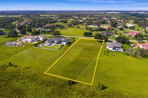 Terreno en venta en Thonotosassa, Florida № 1911968 - foto 22