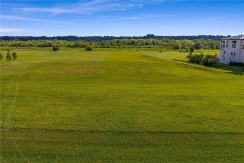 Terreno en venta en Thonotosassa, Florida № 1911968 - foto 4