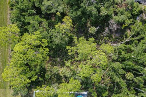 Land in Port Charlotte, Florida № 2164799 - photo 7