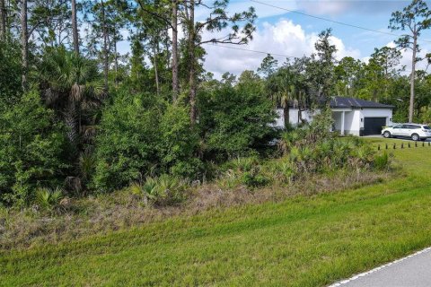 Land in Port Charlotte, Florida № 2164799 - photo 5