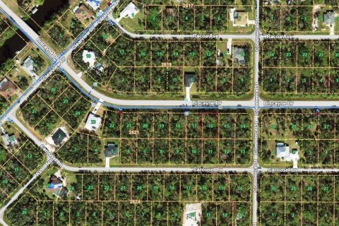 Land in Port Charlotte, Florida № 2164799 - photo 8