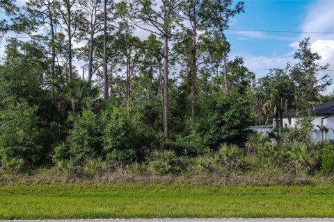 Land in Port Charlotte, Florida № 2164799 - photo 6