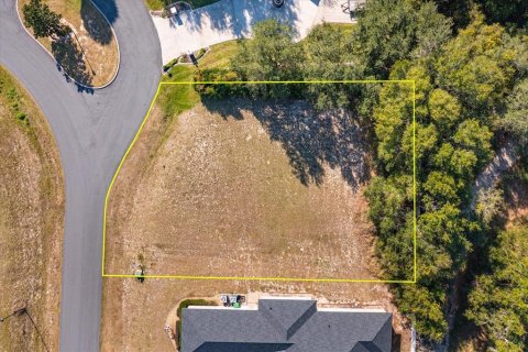 Land in Fruitland Park, Florida № 2213196 - photo 3