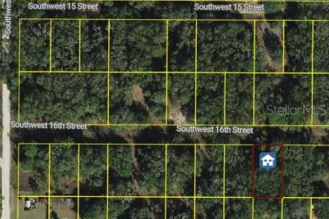 Land in Ocala, Florida № 2163985 - photo 2