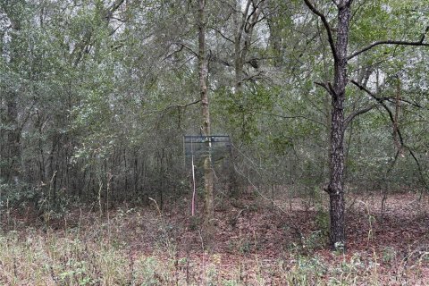 Land in Ocala, Florida № 2163985 - photo 4