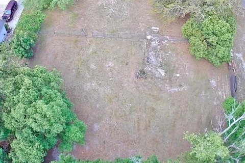 Terreno en venta en Lake Mary, Florida № 1630102 - foto 4