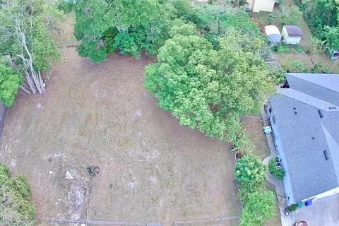 Terreno en venta en Lake Mary, Florida № 1630102 - foto 2