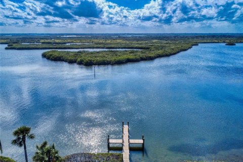 Condo in New Smyrna Beach, Florida, 2 bedrooms  № 1532014 - photo 2