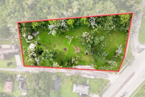 Terreno en venta en Altamonte Springs, Florida № 1913384 - foto 7