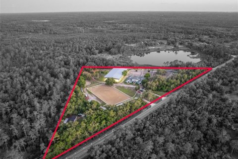 House in Geneva, Florida 5 bedrooms, 377.74 sq.m. № 2224708 - photo 6