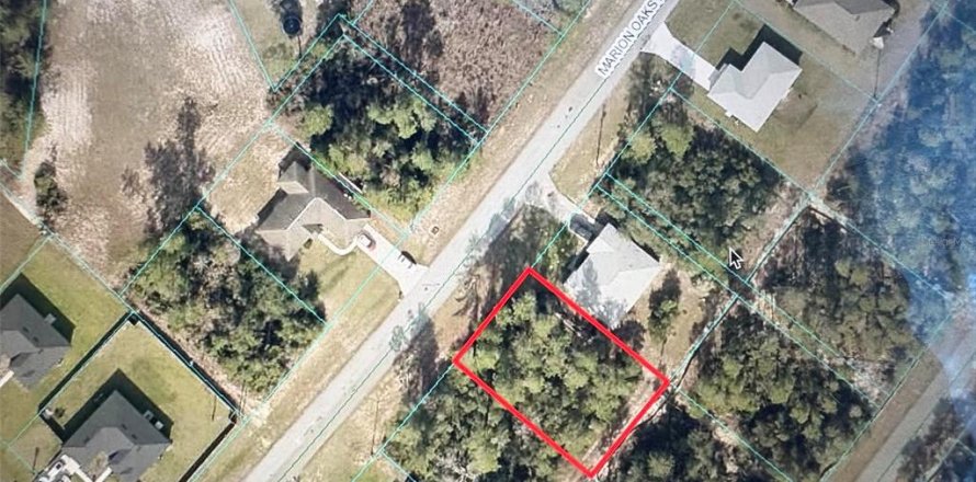 Terreno en Ocala, Florida № 1768987
