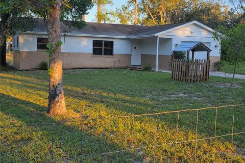 Villa ou maison à Weeki Wachee, Floride 3 chambres, 132.94 m2 № 2430913