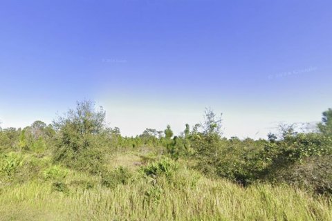 Купить земельный участок в Индиан Лейк Эстейтс, Флорида № 2164854 - фото 2