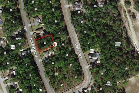 Land in Dunnellon, Florida № 2162764