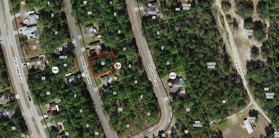 Land in Dunnellon, Florida № 2162764