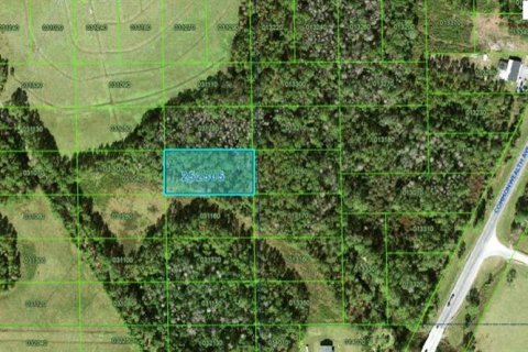 Terreno en Polk City, Florida № 2235287