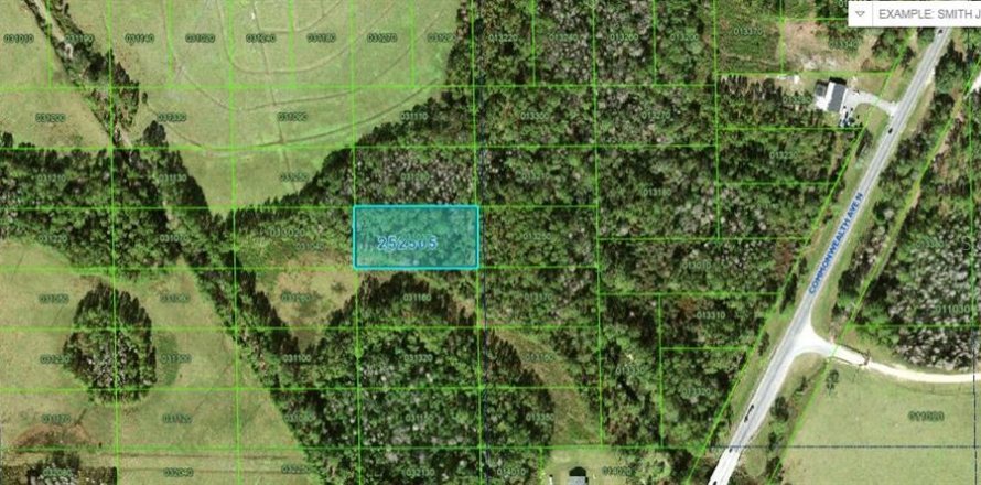 Terrain à Polk City, Floride № 2235287