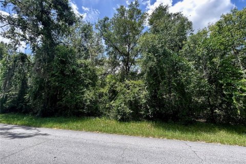 Terreno en venta en Lecanto, Florida № 1832904 - foto 2