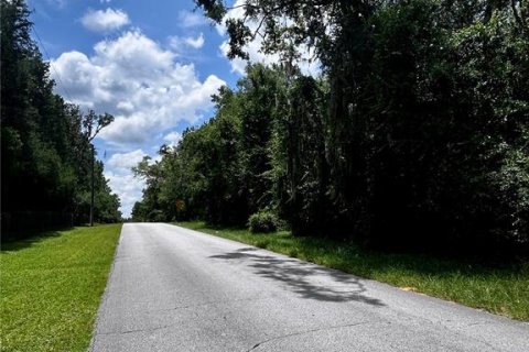 Terreno en venta en Lecanto, Florida № 1832904 - foto 3