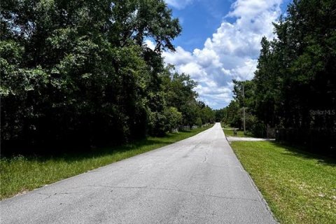 Terreno en venta en Lecanto, Florida № 1832904 - foto 4