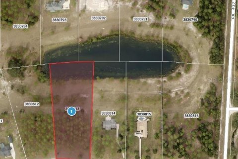 Land in Eustis, Florida № 1856043 - photo 2