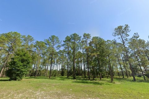 Land in Eustis, Florida № 1856043 - photo 1