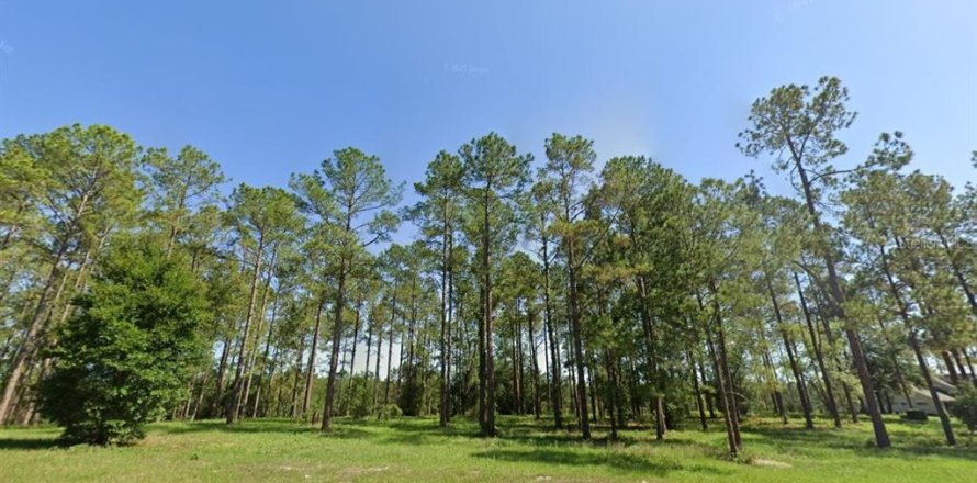 Land in Eustis, Florida № 1856043