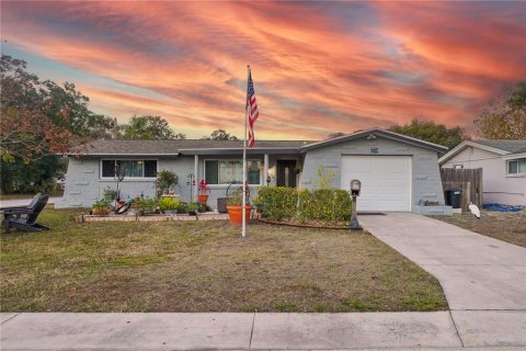 House in New Port Richey, Florida 4 bedrooms, 144 sq.m. № 2199000