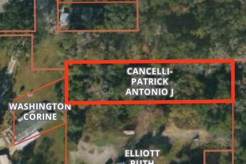 Land in Brooksville, Florida № 2162000 - photo 2