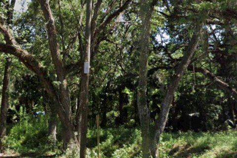 Land in Brooksville, Florida № 2162000