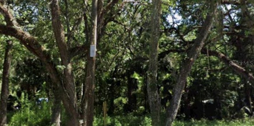 Land in Brooksville, Florida № 2162000