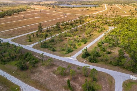 Land in Placida, Florida № 2159338 - photo 2