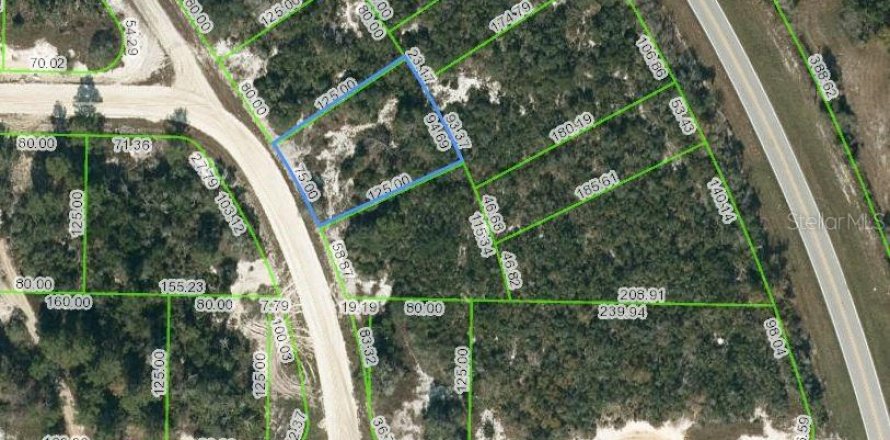 Terrain à Lake Placid, Floride № 2223998