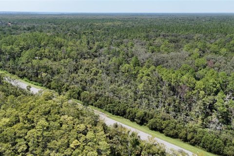 Terreno en venta en Bunnell, Florida № 1910752 - foto 3