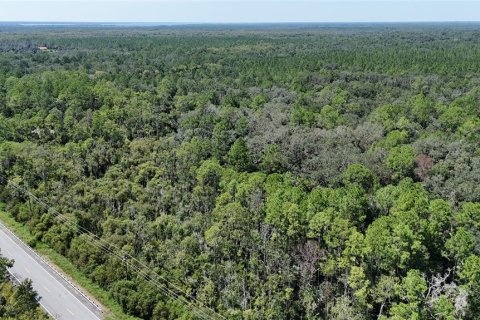Terreno en venta en Bunnell, Florida № 1910752 - foto 5