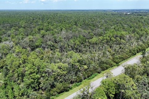 Terreno en venta en Bunnell, Florida № 1910752 - foto 2