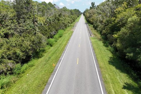 Terreno en venta en Bunnell, Florida № 1910752 - foto 7